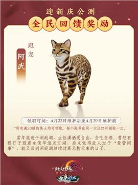 天龙八部私服按钮设置
